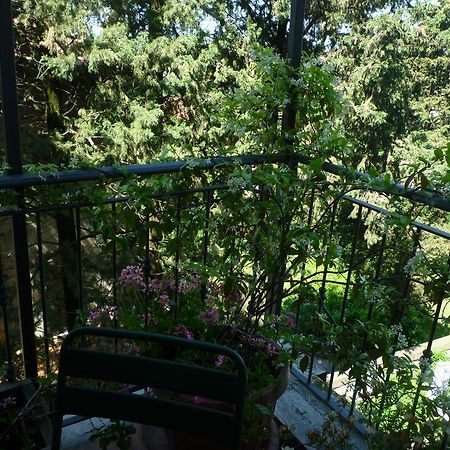Le Camere Di Paolino Manciano Bagian luar foto